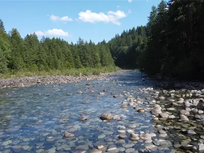 View 28