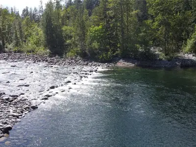 View 54