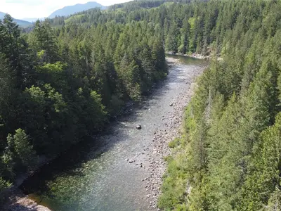 View 31