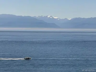 View 53