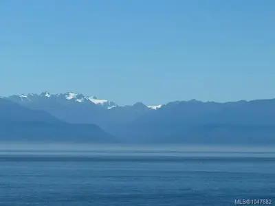 View 51