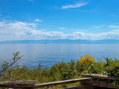 View 39