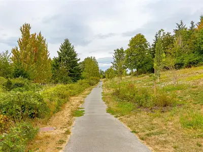 View 52