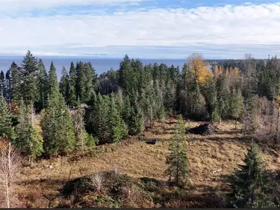 View 4