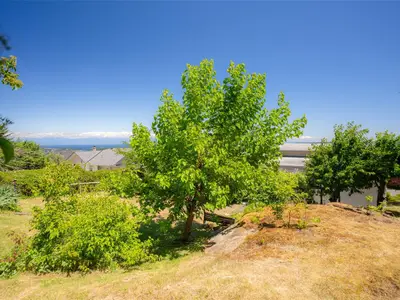 View 52