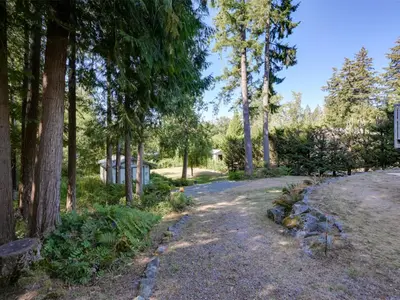 View 50