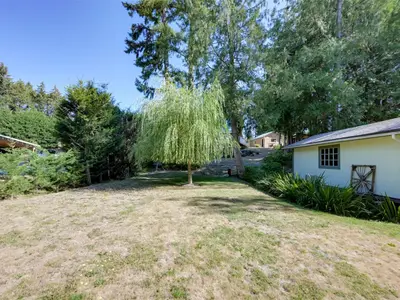 View 39