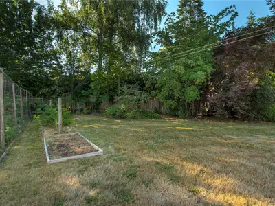 View 39