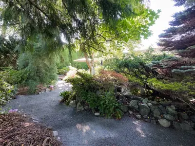 View 55