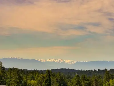 View 67