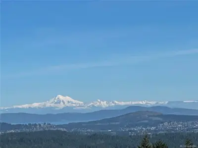 View 55