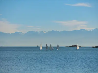 View 63
