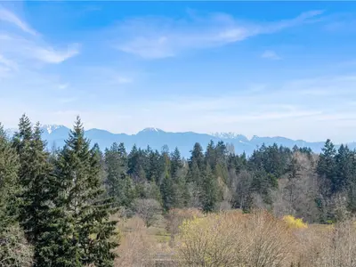 View 40