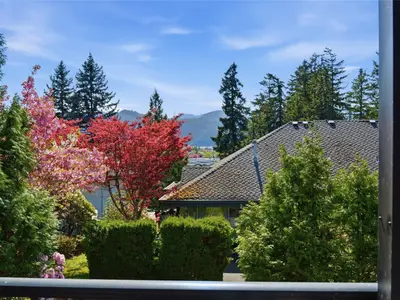 View 82