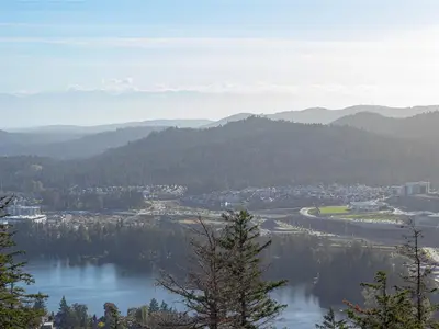 View 15