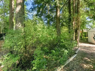 View 26