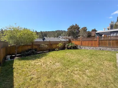 View 77