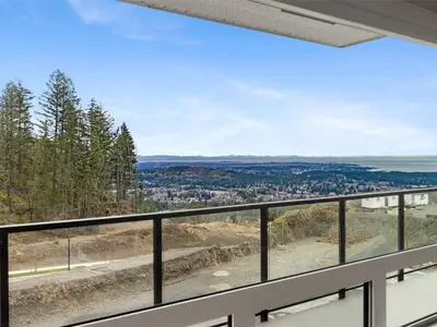 View 22
