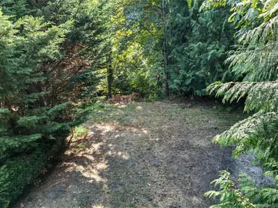 View 15
