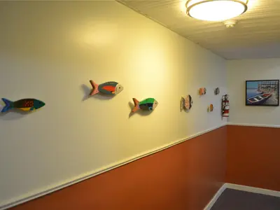 View 24