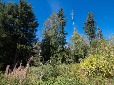 View 6
