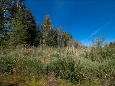 View 16