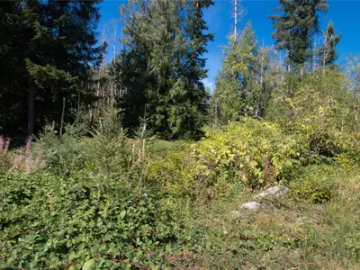 View 7