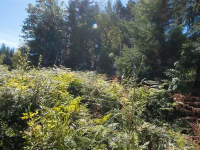 View 18