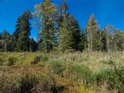View 15