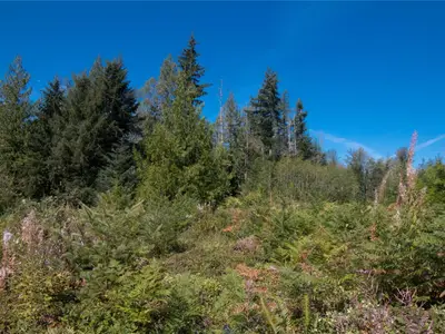 View 19