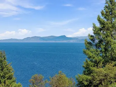 View 42