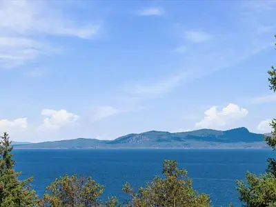 View 49