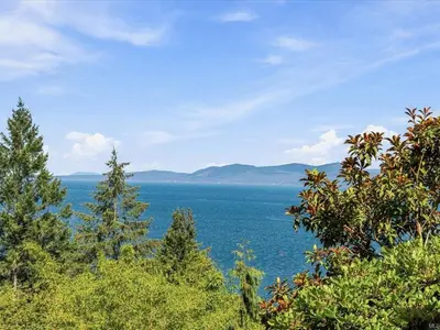 View 50