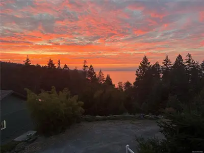 View 15