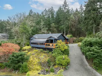 View 68