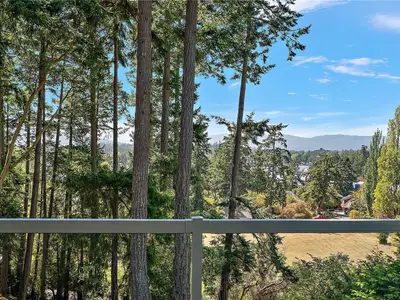 View 31