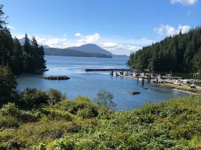 View 16