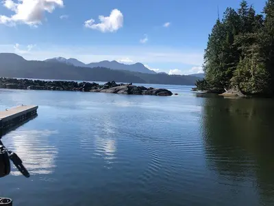 View 15
