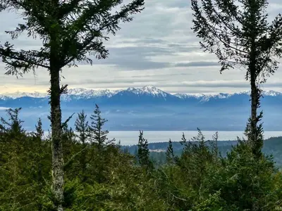 View 36