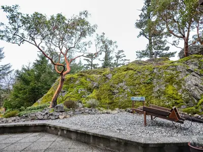 View 34