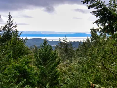 View 33