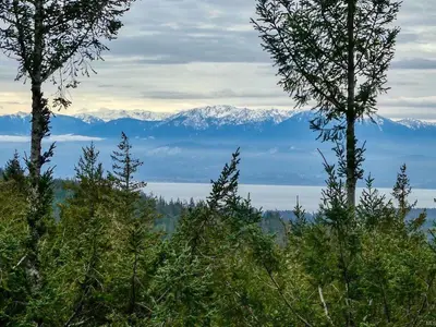 View 35