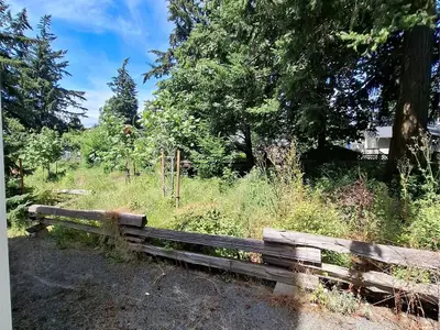 View 25