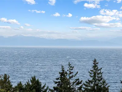 View 12