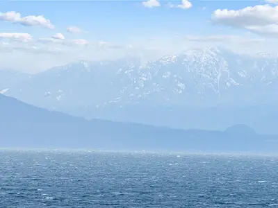 View 11