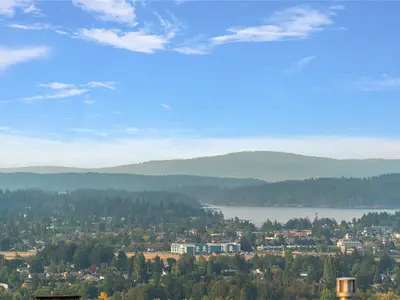 View 39