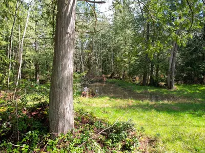 View 35
