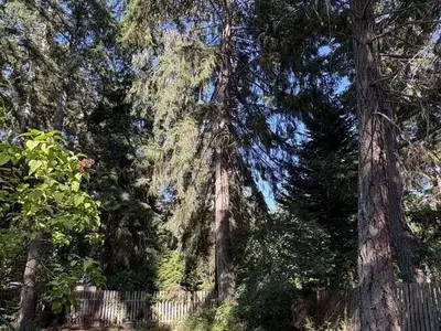 View 17