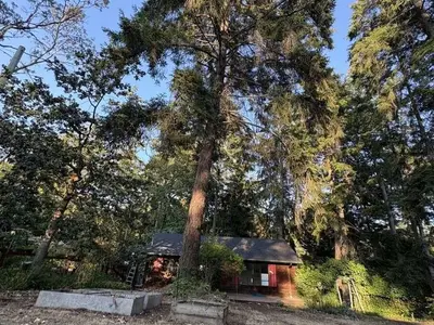 View 21
