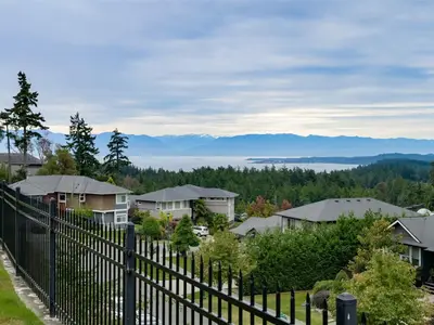 View 46